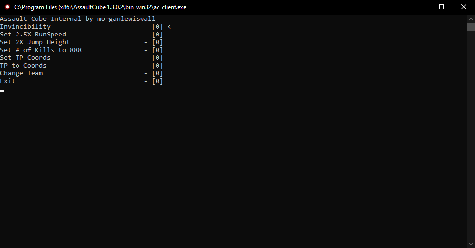 A mod running in AssaultCube.